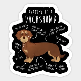 Red Wirehaired Dachshund Dog Anatomy Sticker